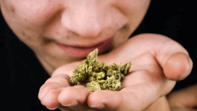 Does Cbd Smell Like Weed When Smoking