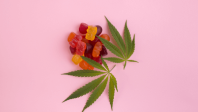 Earthmed Cbd Gummies Where to Buy