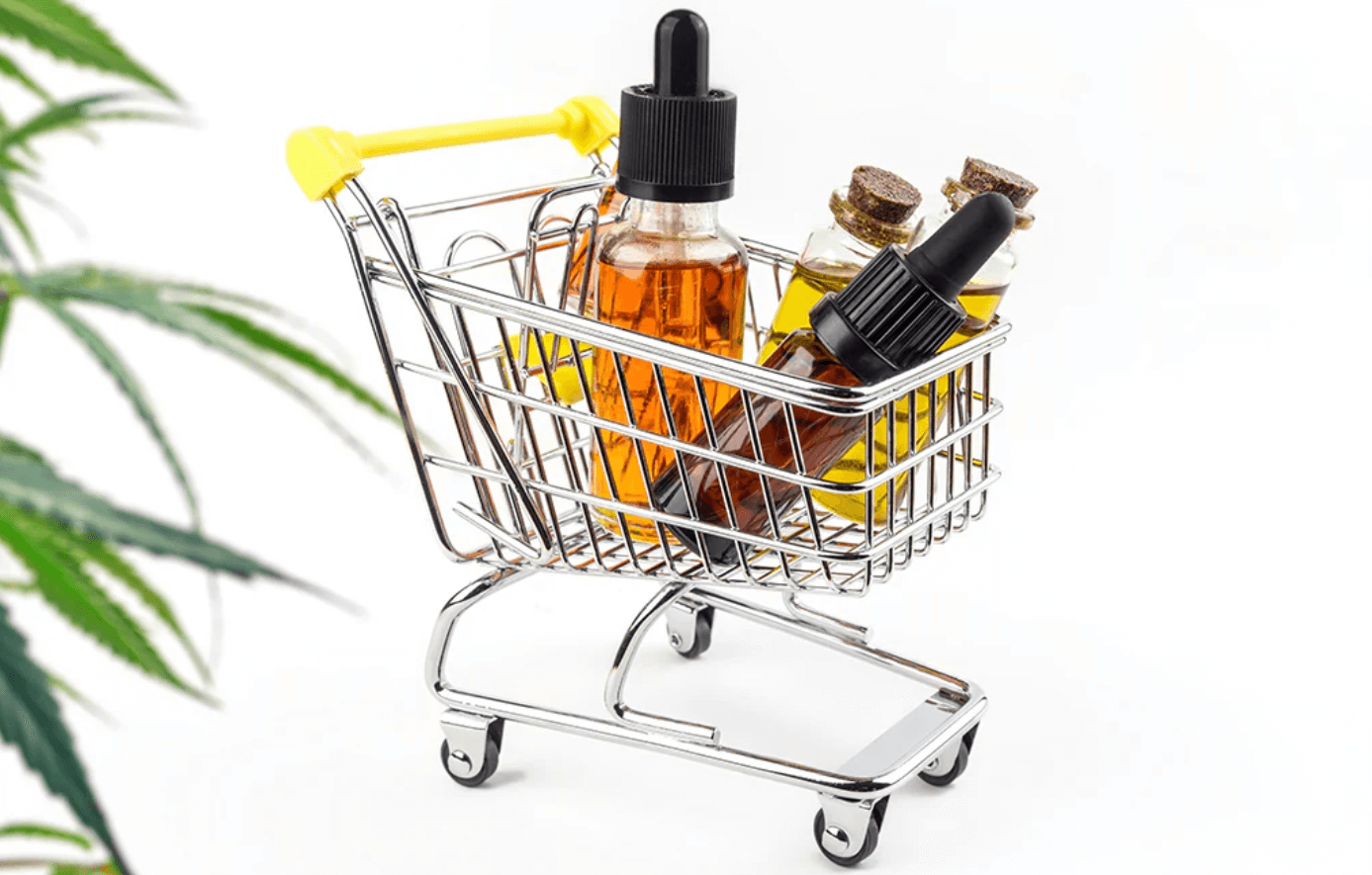 How Old Do You Have to Be to Buy Cbd in Nebraska