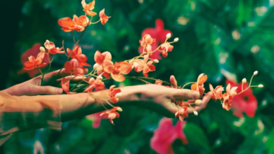 Rebuilding Mental Ease Through Self-Reflection and Natural Support