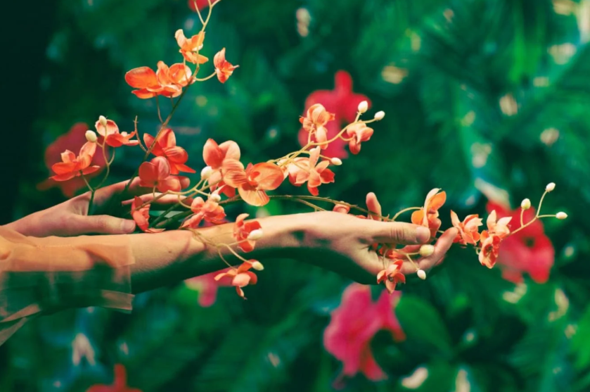 Rebuilding Mental Ease Through Self-Reflection and Natural Support